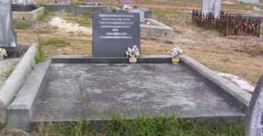 Full-size image