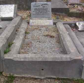 Full-size image