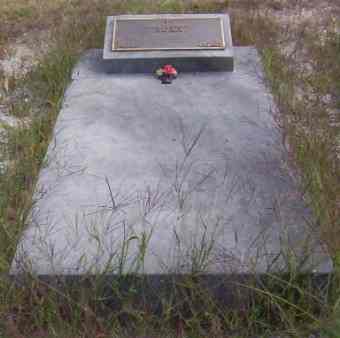 Full-size image