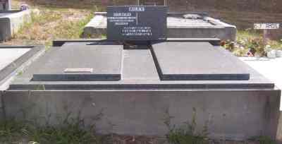 Full-size image