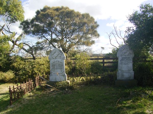 Full-size image