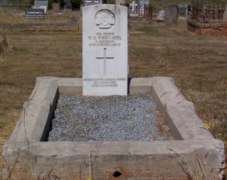 Full-size image