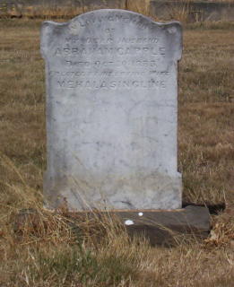 Full-size image