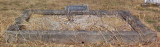 Full-size image