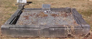 Full-size image