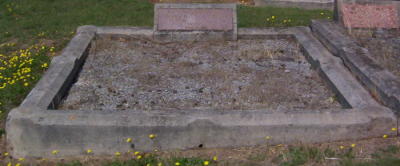 Full-size image