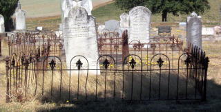 Full-size image