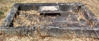 Full-size image