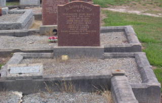 Full-size image