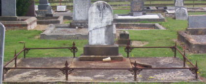 Full-size image