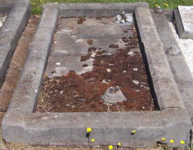Full-size image
