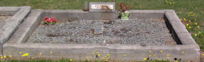 Full-size image