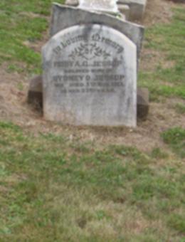 Full-size image