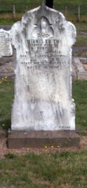Full-size image