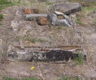 Full-size image