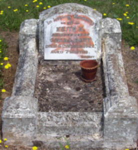Full-size image