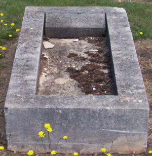 Full-size image