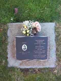 Full-size image