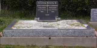 Full-size image