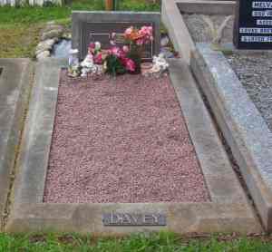 Full-size image