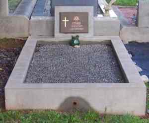 Full-size image