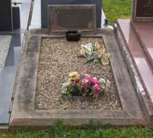 Full-size image