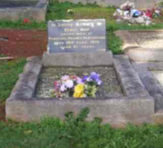 Full-size image