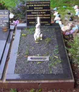 Full-size image