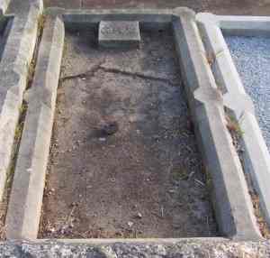 Full-size image