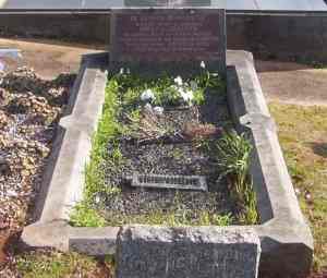 Full-size image