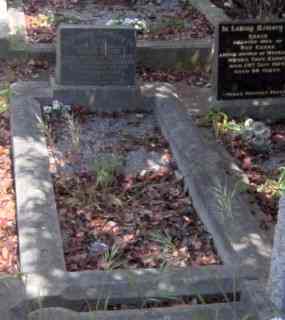 Full-size image