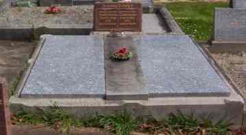 Full-size image