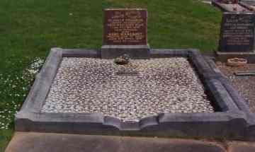 Full-size image