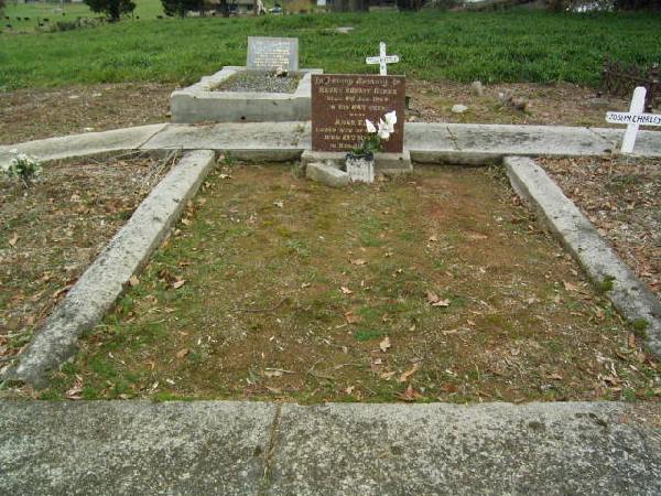 Full-size image