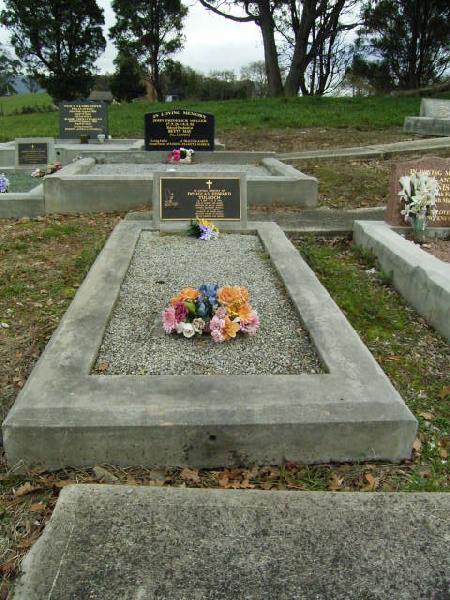 Full-size image