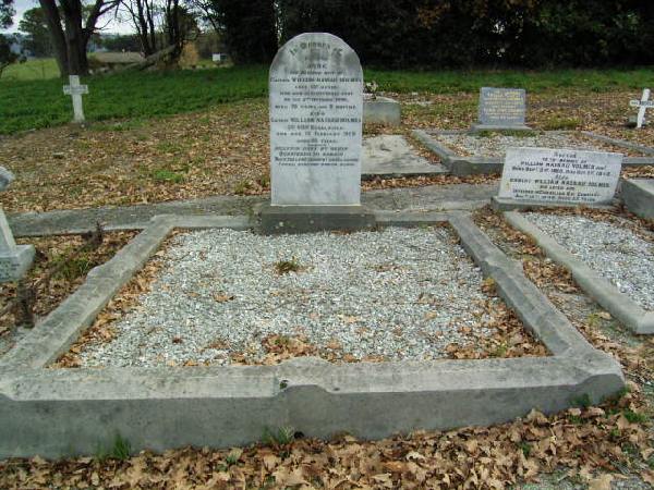 Full-size image