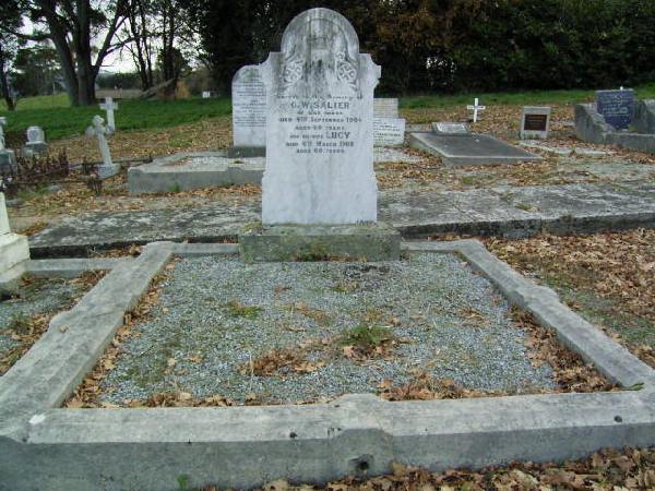 Full-size image