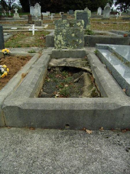 Full-size image