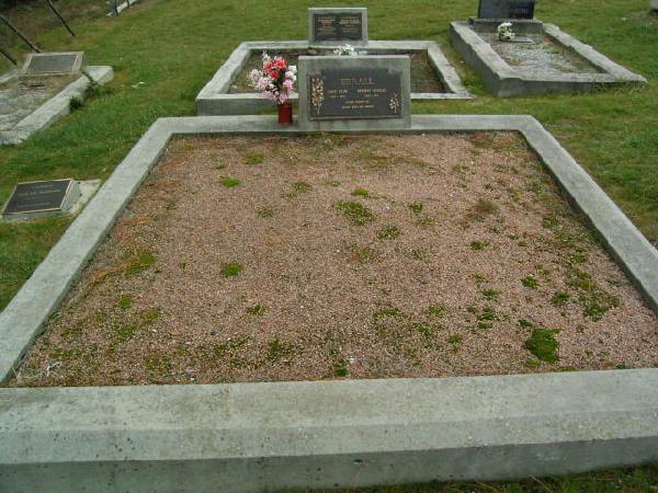 Full-size image