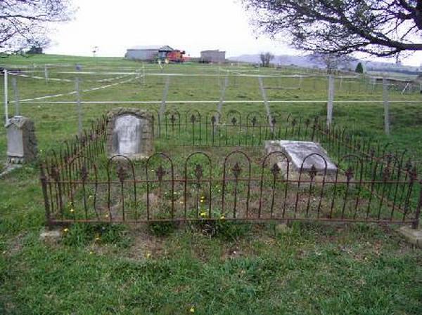 Full-size image
