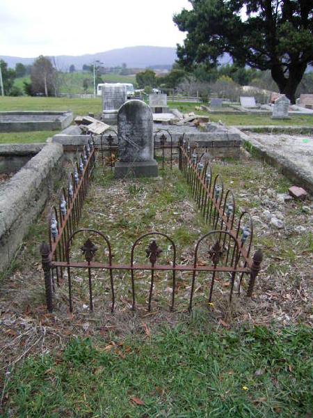 Full-size image