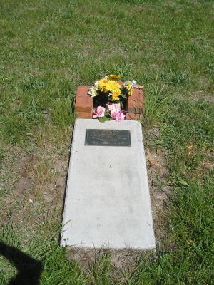 Full-size image