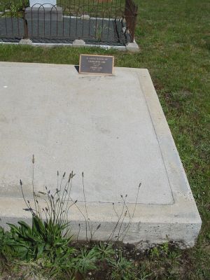 Full-size image