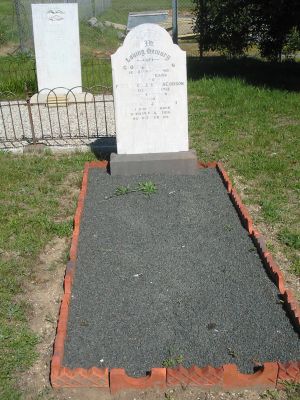 Full-size image