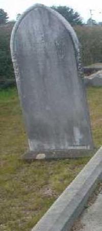 Full-size image