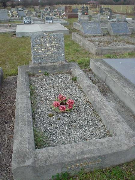 Full-size image