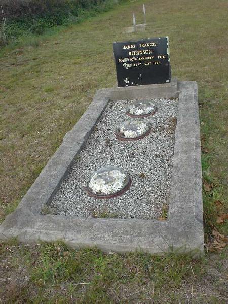Full-size image