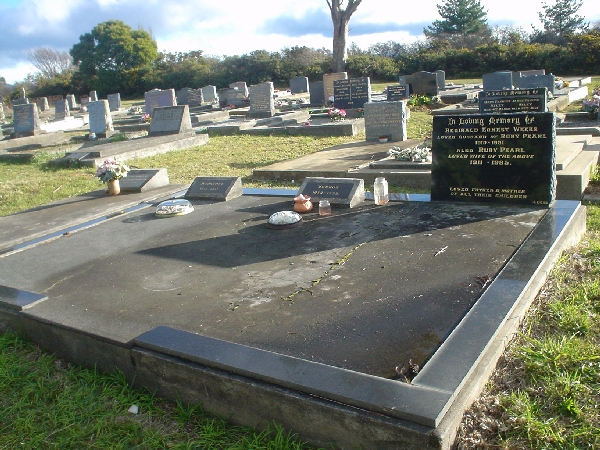 Full-size image
