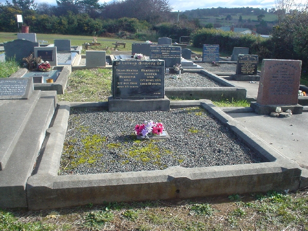 Full-size image