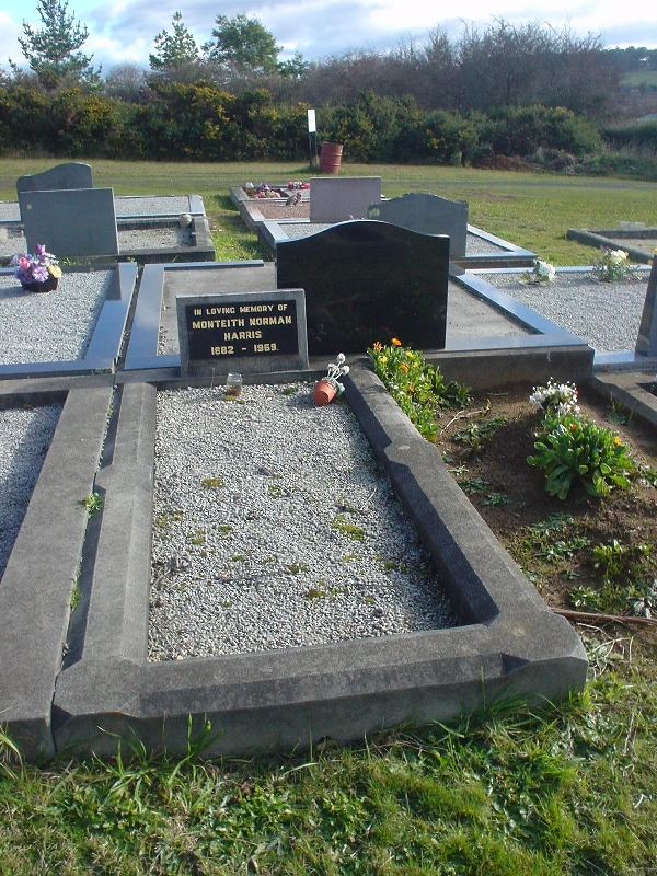 Full-size image